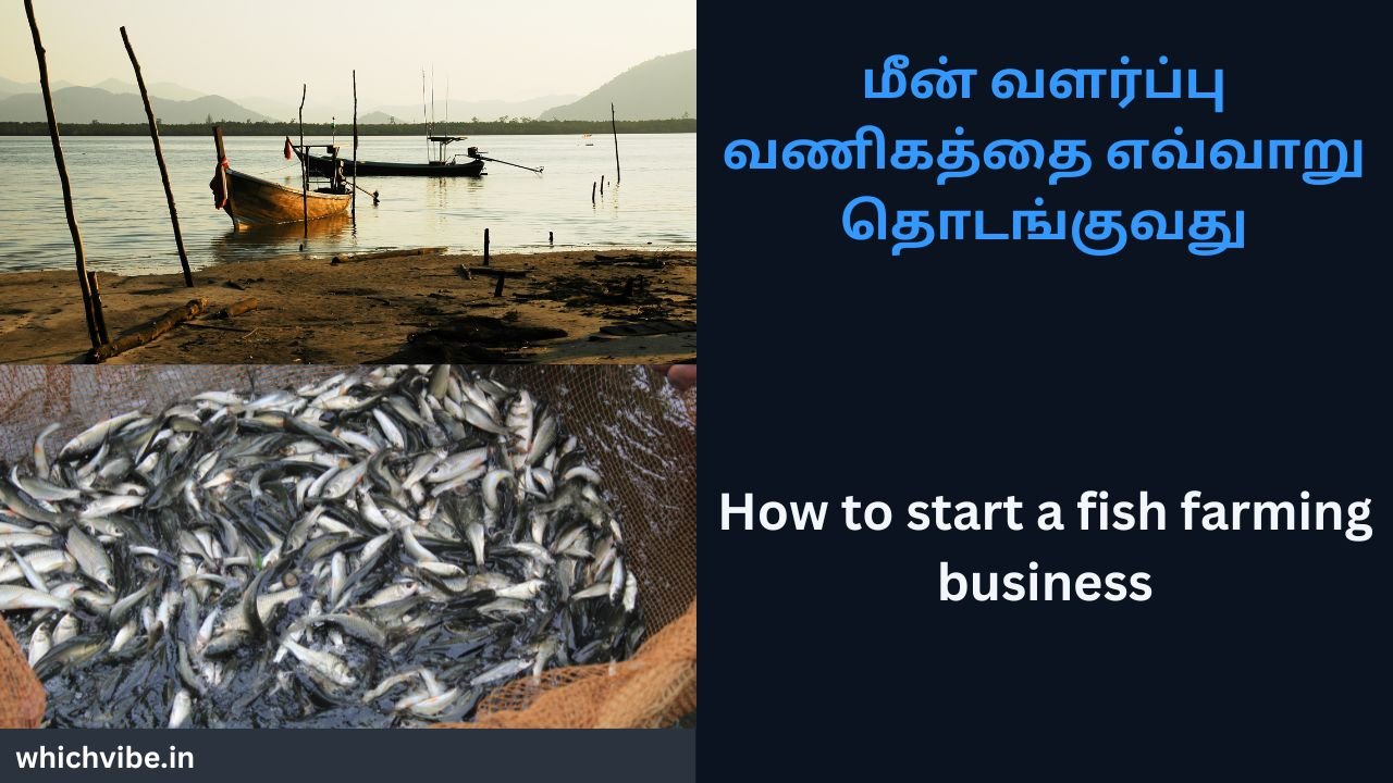 How to start a fish farming business